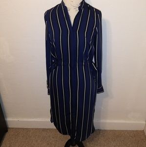 H&M pinstriped button down dress